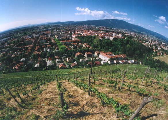 Mount Pohorje in Maribor, Slovenia, site of BattleMesh v8!