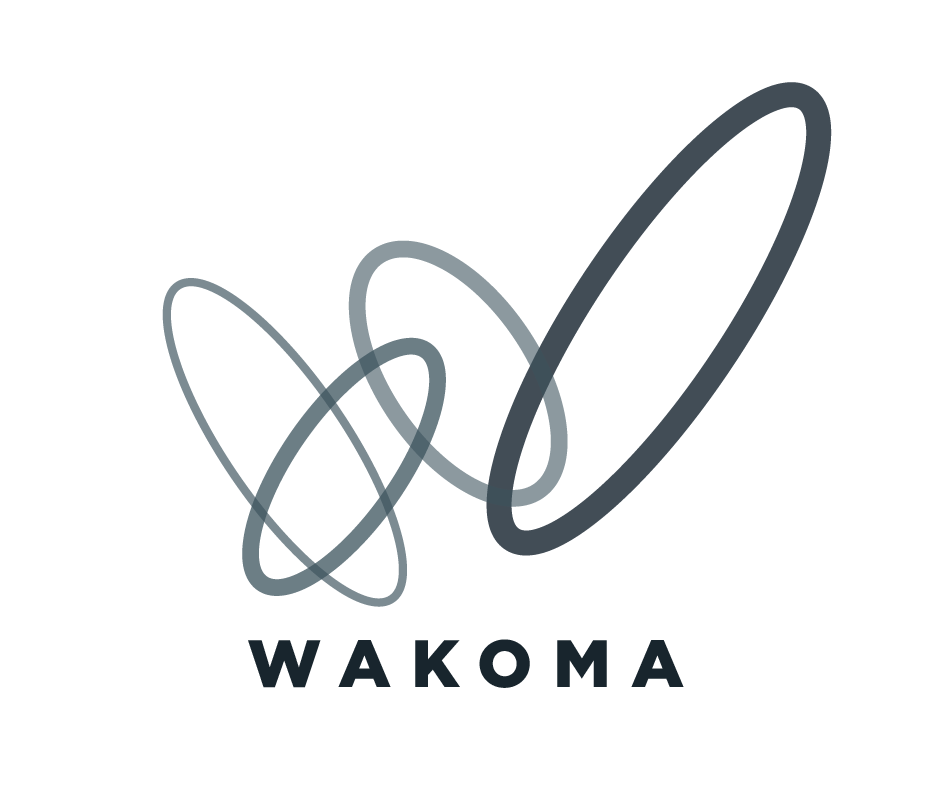 https://wakoma.co/battlemeshv14/